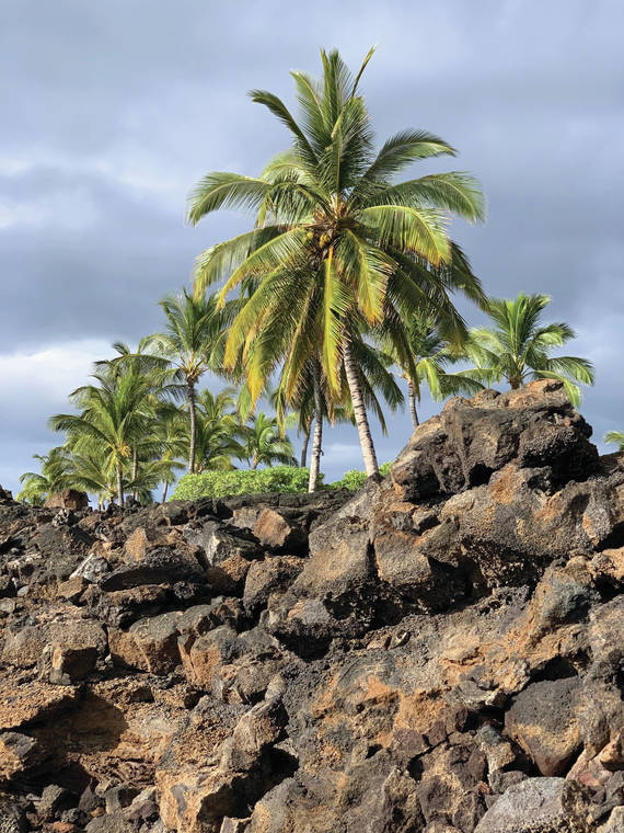 Construire un sol à partir de zéro |  L&rsquo;ouest d&rsquo;Hawaï aujourd&rsquo;hui, Santé bien-être forme