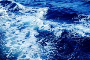 Bienfaits du plasma marin ( Eau de mer ), Santé bien-être forme